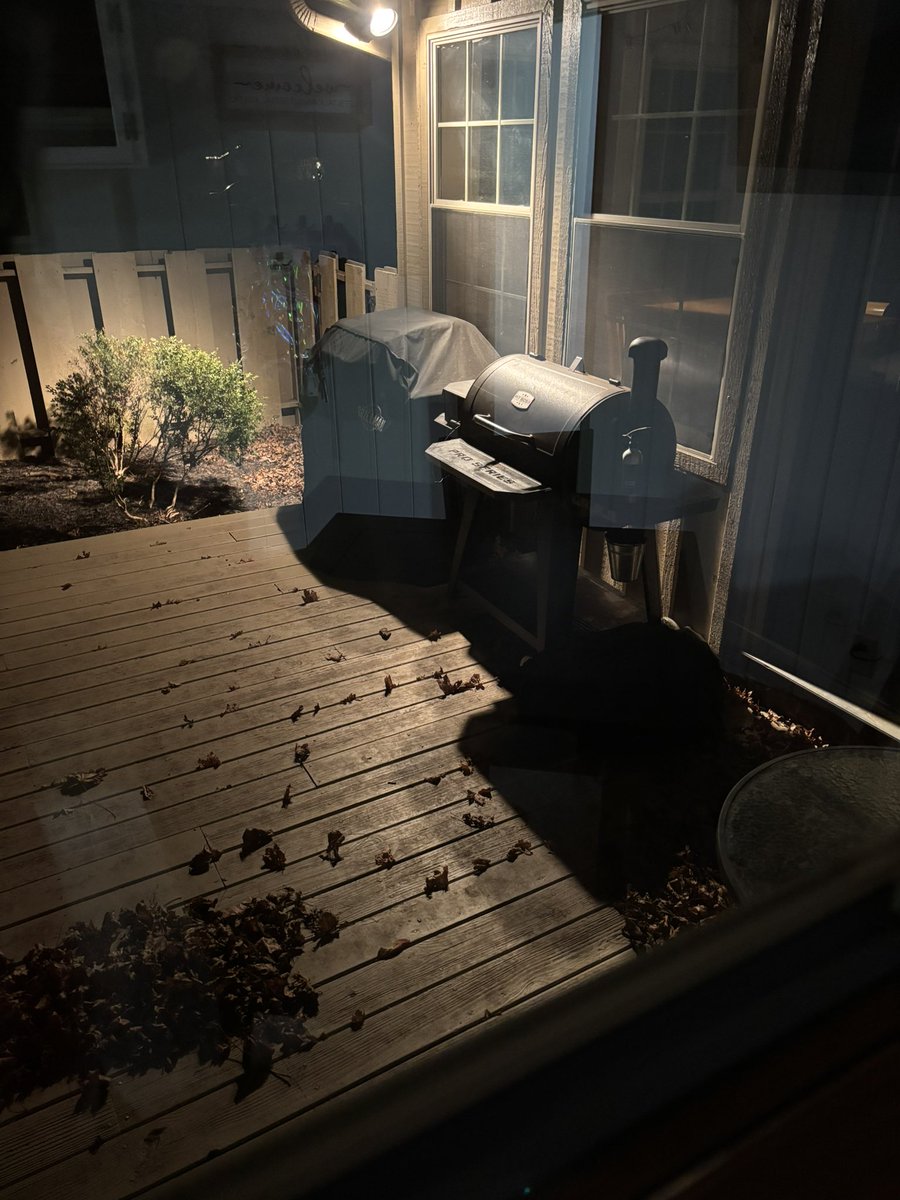 Tripples of the Nova tweet media