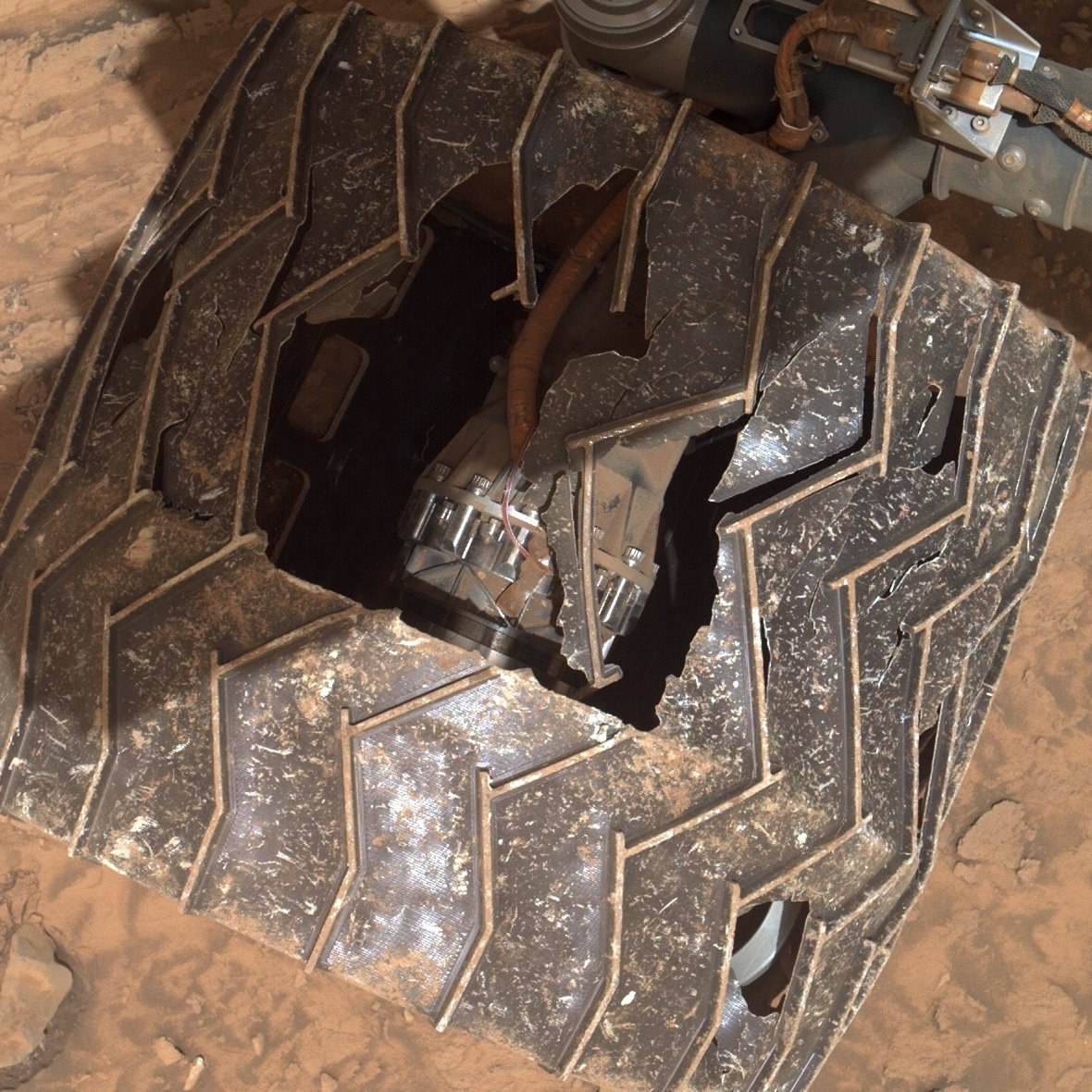 Curiosity tweet media