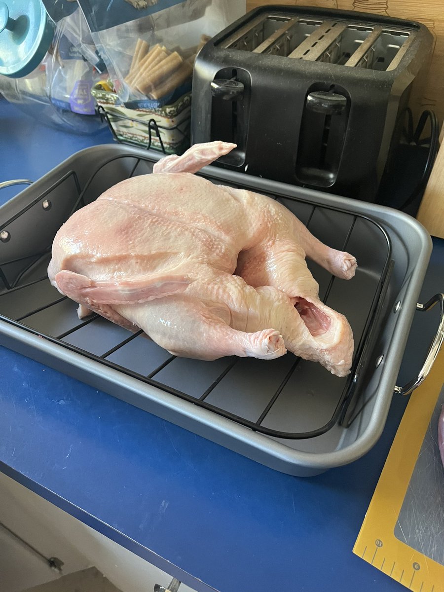 writeshiftrn's tweet image. Happy Thanksgiving!! 🦆

I’m thankful I got to dissect a duck heart while the kiddo seasoned the rest of it….

Hearts are so cool!

We like duck better than turkey around here, so we make Thanksgiving Duck whenever we can find one.