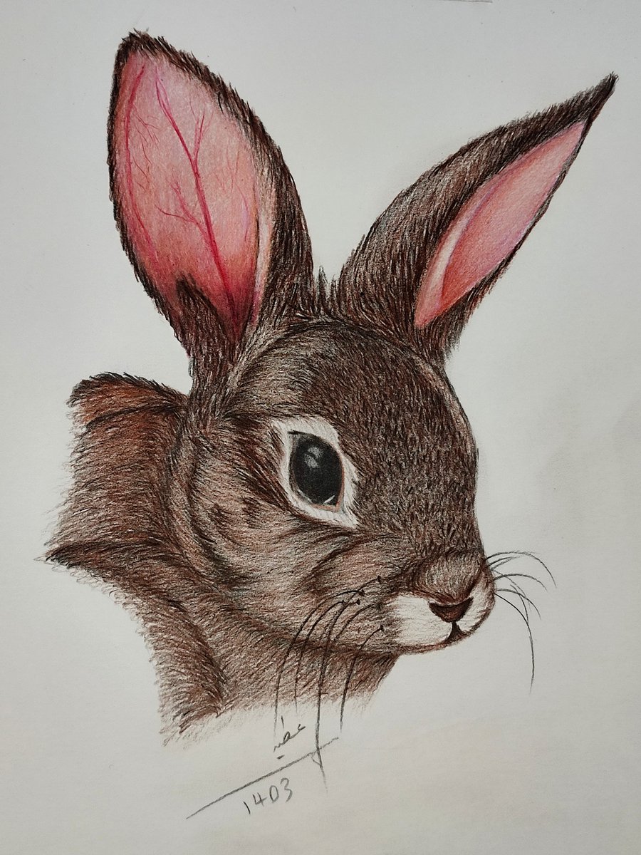nadalizade22242's tweet photo. Good night my x fam 🌛⭐
🐇Open Edition
🐇Price: 1 #xtz
🐇8 days left
~~~~~~~~
👩🏻🎨✨️This is physical painting with colored pencils
#nftpainter
#tezosart
#NFTCommunity
#nftcollector
https://t.co/BnPgC3WGtN https://t.co/UNwjqTQGrV