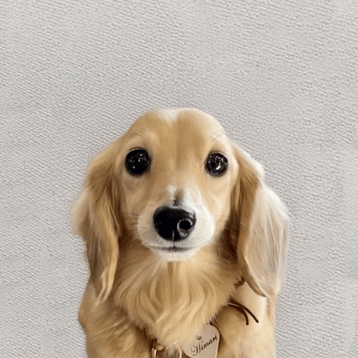himaricto's tweet photo. Welcome Himari CTO
https://t.co/DGWhDPf1OW
CA:512G8fMu2vyao5Rzwo4iT8yCjXvN8ScPDYZx3mGKpump https://t.co/S6iNWHVTc1