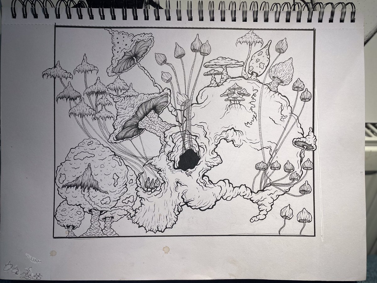 𝕭𝖚𝖉𝖘𝖑𝖚𝖌𝖘 tweet media