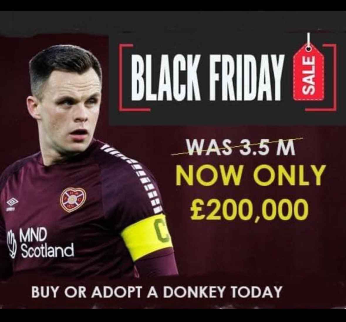 Lawrence Shankland 😂😂😂