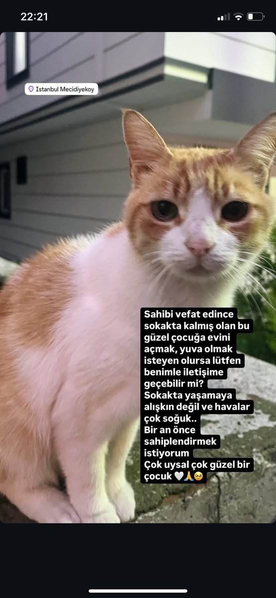 İstanbul içi, bu güzel çocuğa yuva olmak isterseniz lütfen iletişime geçebilir misiniz?