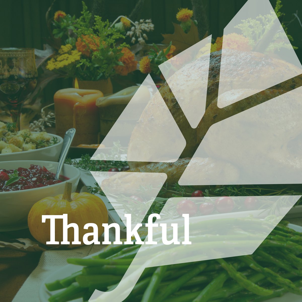 From coast to coast, our Ten Acre team is celebrating this day of gratitude.🍂

To our clients: thank you for trusting us with your stories &amp; brands.

To our team: you are the heart of Ten Acre. Your creativity, dedication &amp; passion make everything we do possible.

#thankful