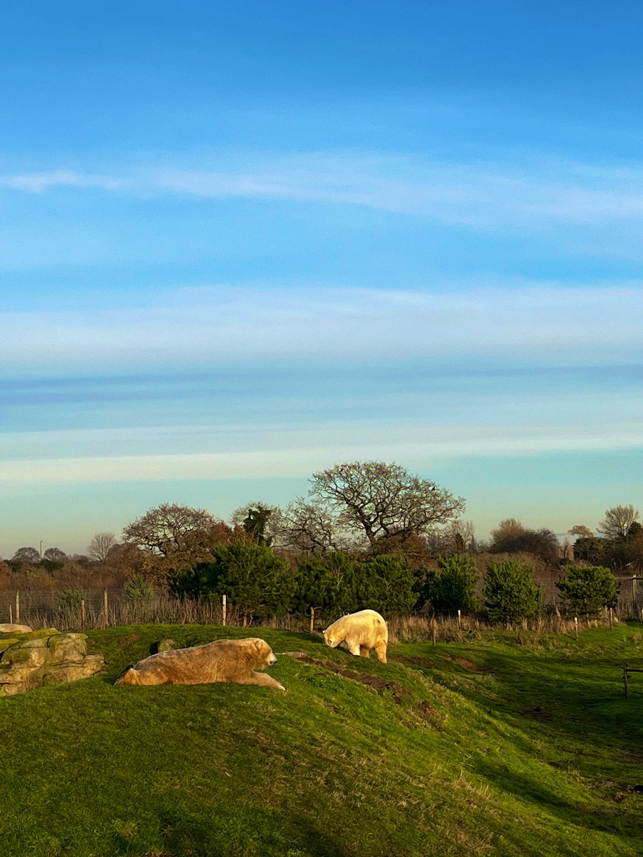 Year 2 having a fab first day on their residential at Yorkshire Wildlife Park