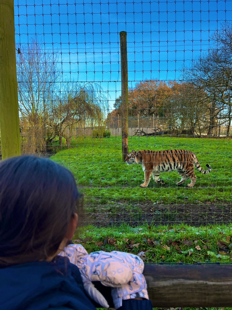 Outdoor Ed tweet media