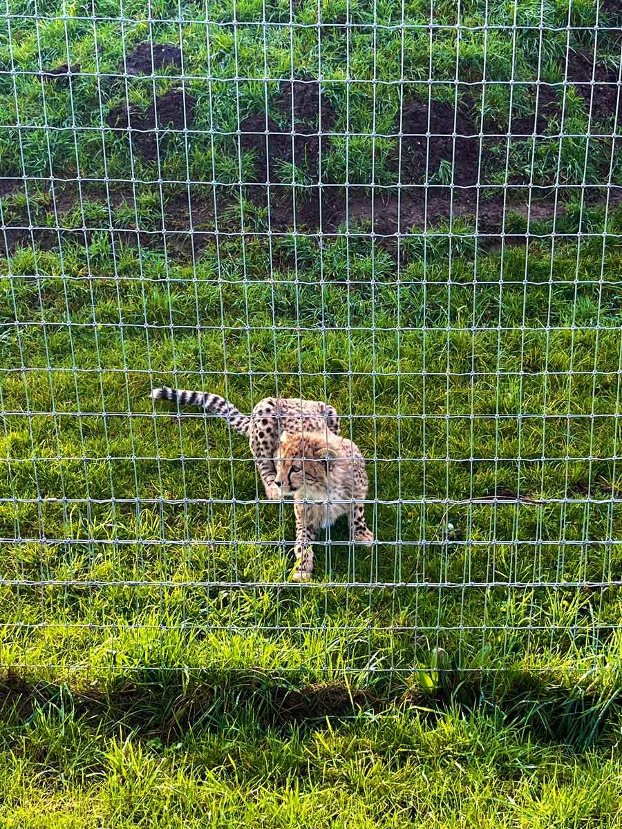 Outdoor Ed tweet media