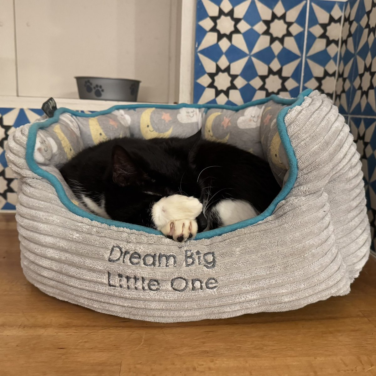 Steve Exeter tweet media