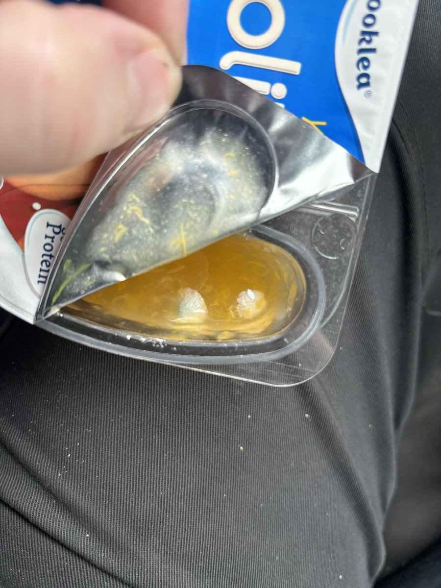 jakeaird's tweet photo. @AldiUK should the fruit compote in these yoghurts be mouldy at all, even though in date or not? Asking for a friend. https://t.co/6qfts7zJ4V
