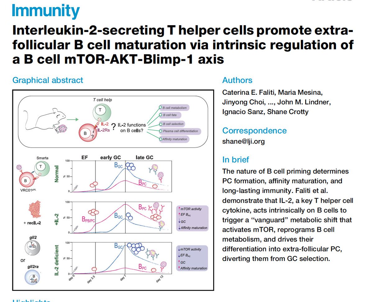 ✨ Ever wondered why B cells are so fond of IL-2? Wonder no more! 

Our study is finally published!🔍📑

authors.elsevier.com/c/1kAq43qNrUxu…