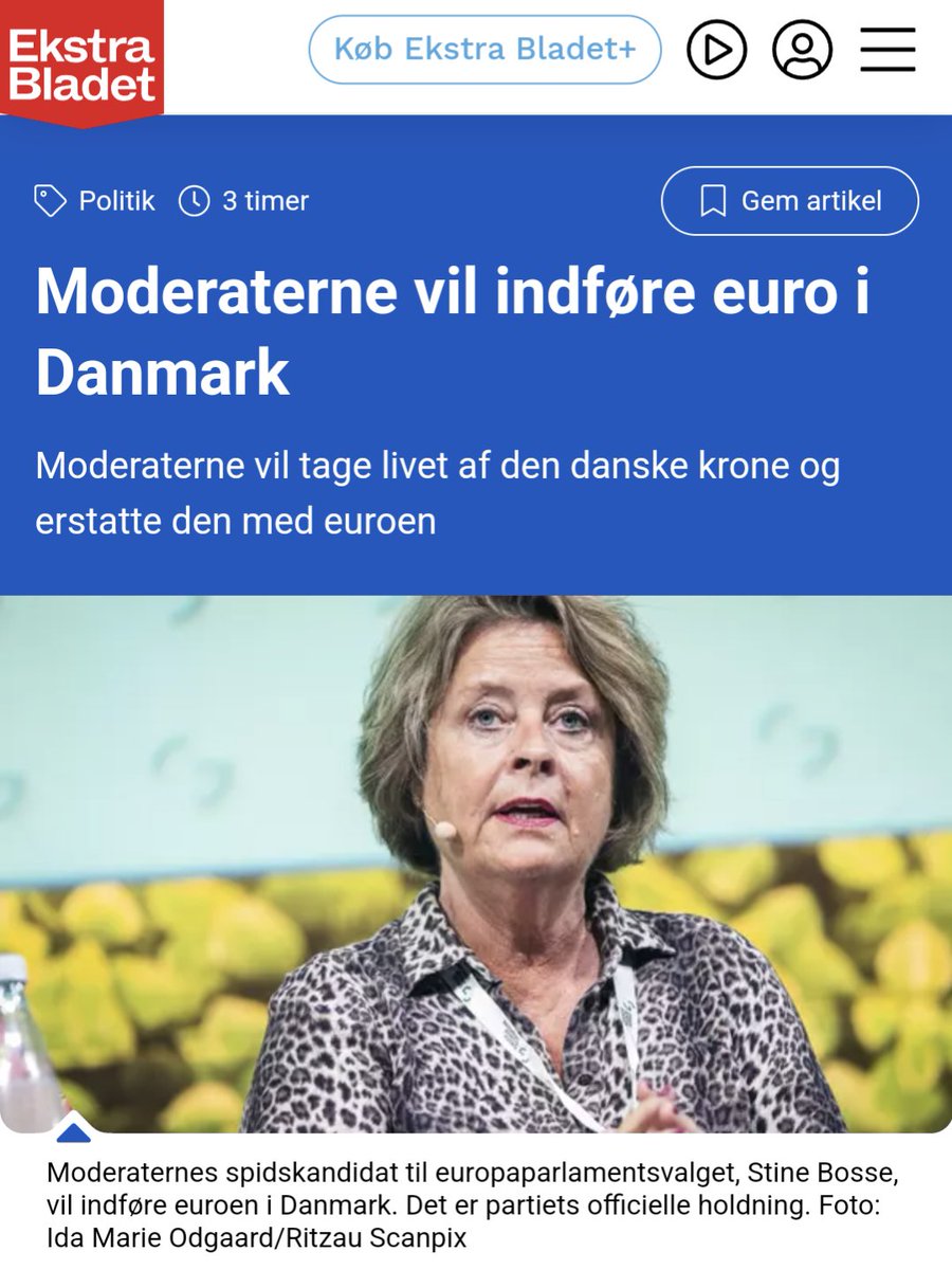 Hvis du googler landsforræder vil et billede af Stine Bosse komme frem.