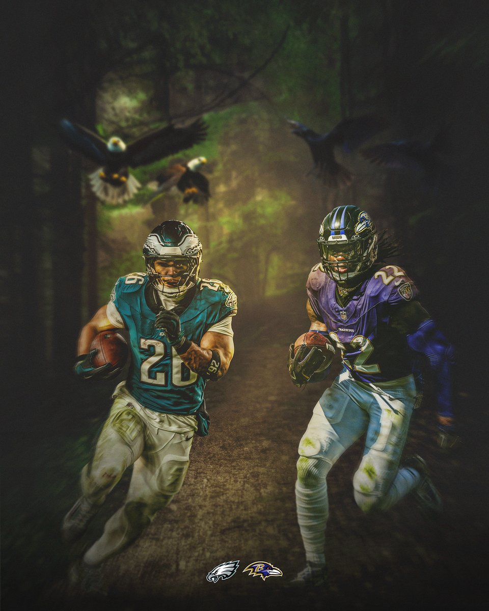 Bird Battle in Baltimore 🦅🐦‍⬛