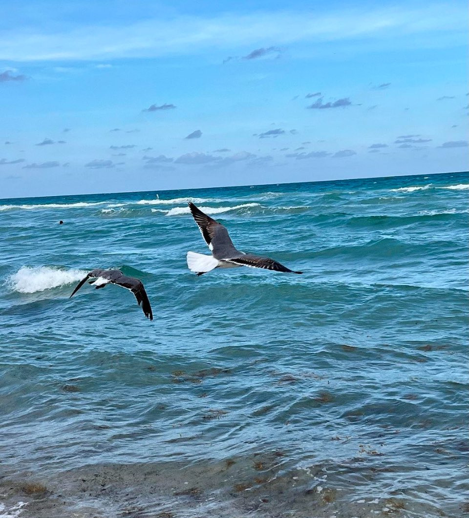 MelsMisadventures tweet media