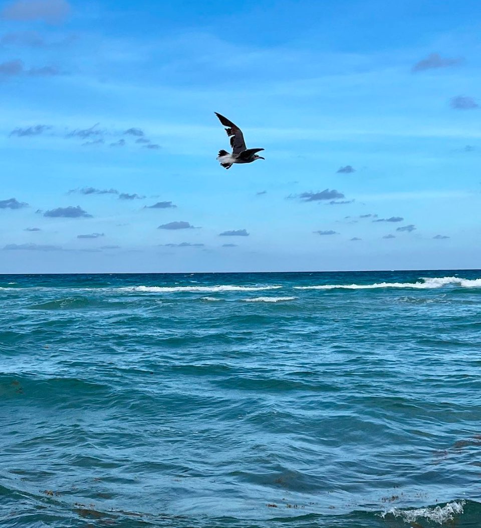 MelsMisadventures tweet media