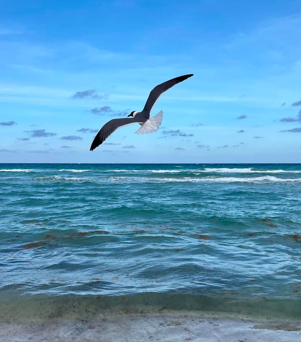 MelsMisadventures tweet media