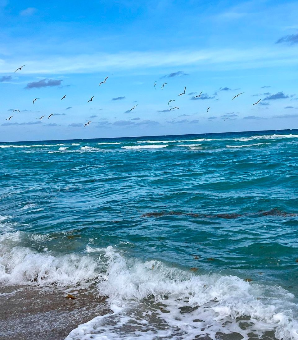 MelsMisadventures tweet media