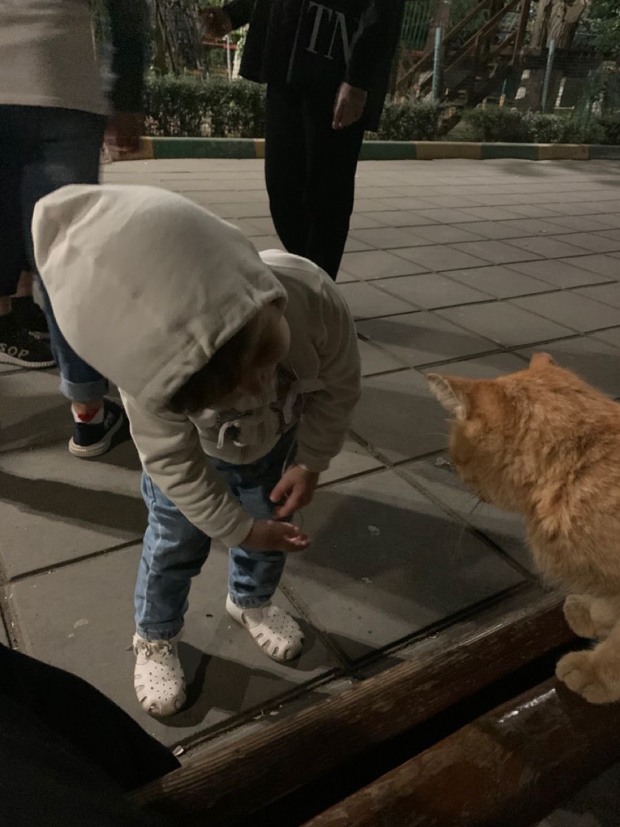 بحر 🌊 (@butterflless) on Twitter photo 