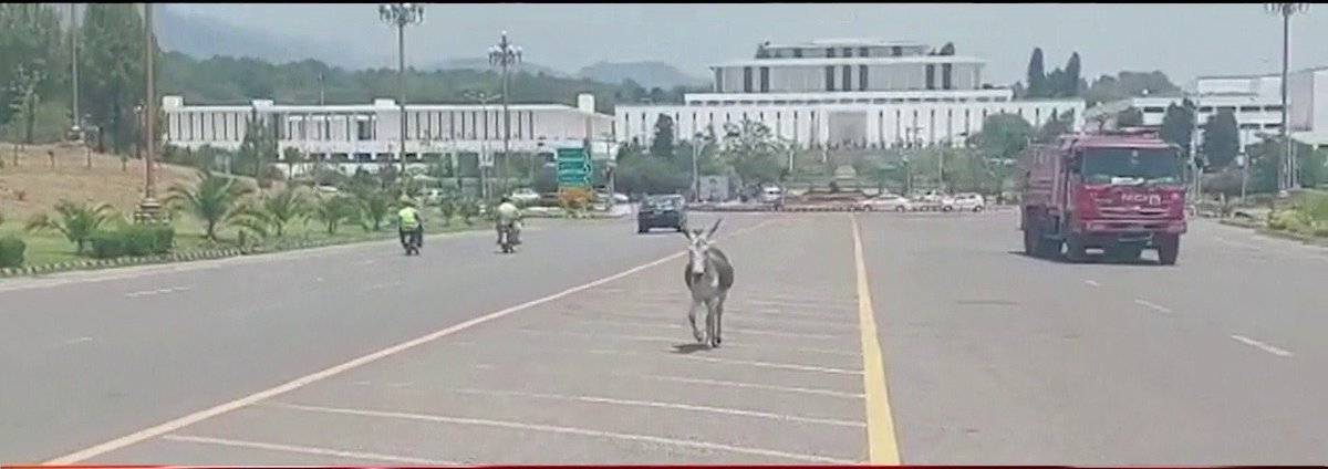 shahabchd's tweet photo. ایک یوتھیا اسلام آباد قومی اسمبلی سے واپسی کے وقت https://t.co/qm9j7lce8c