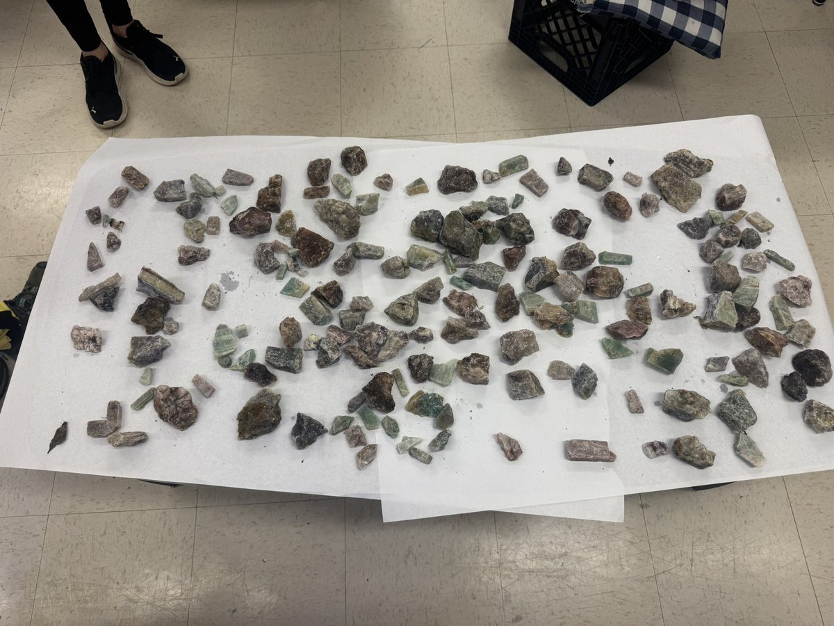 Jessica Grant tweet media