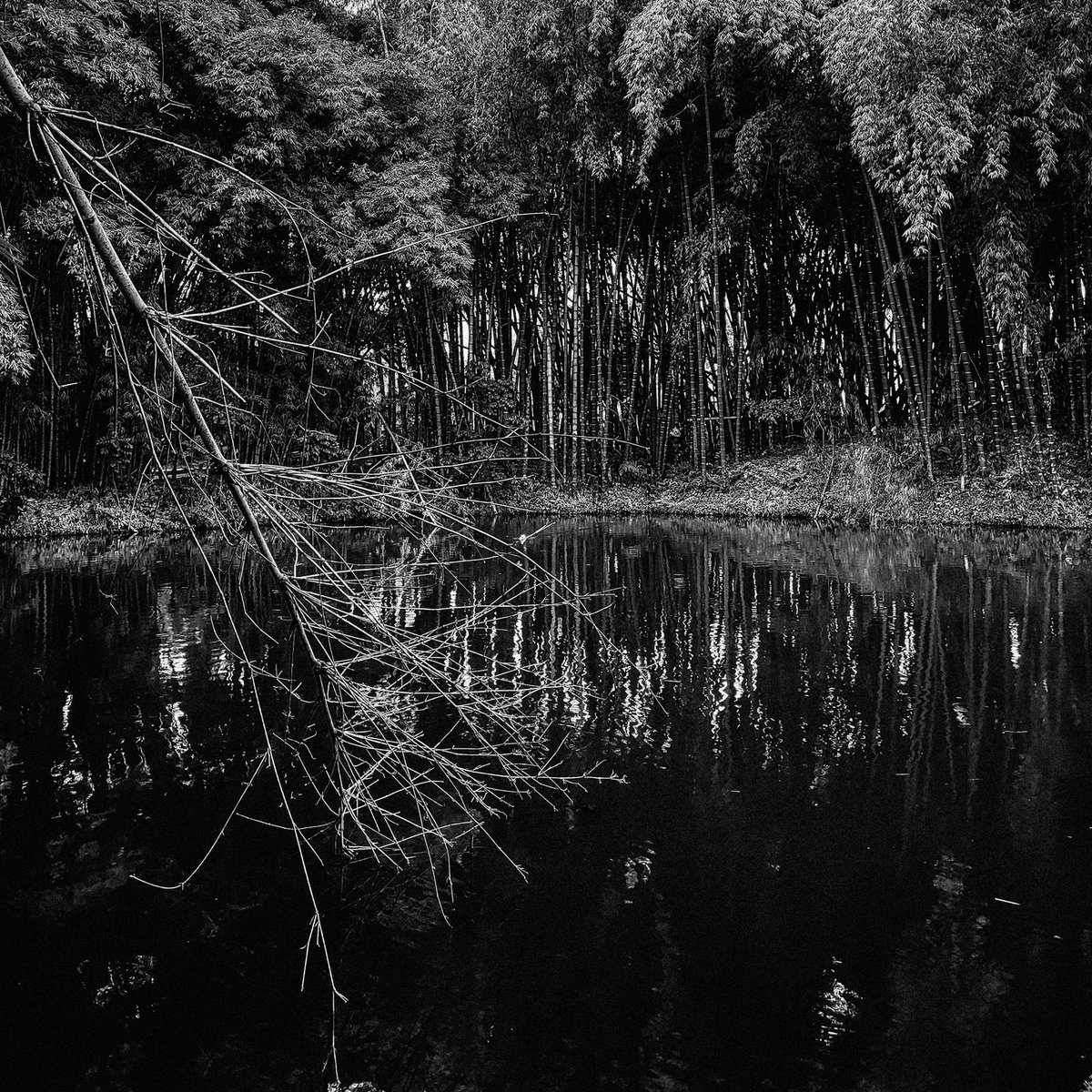 Yosua Za (@yosuaza) on Twitter photo 