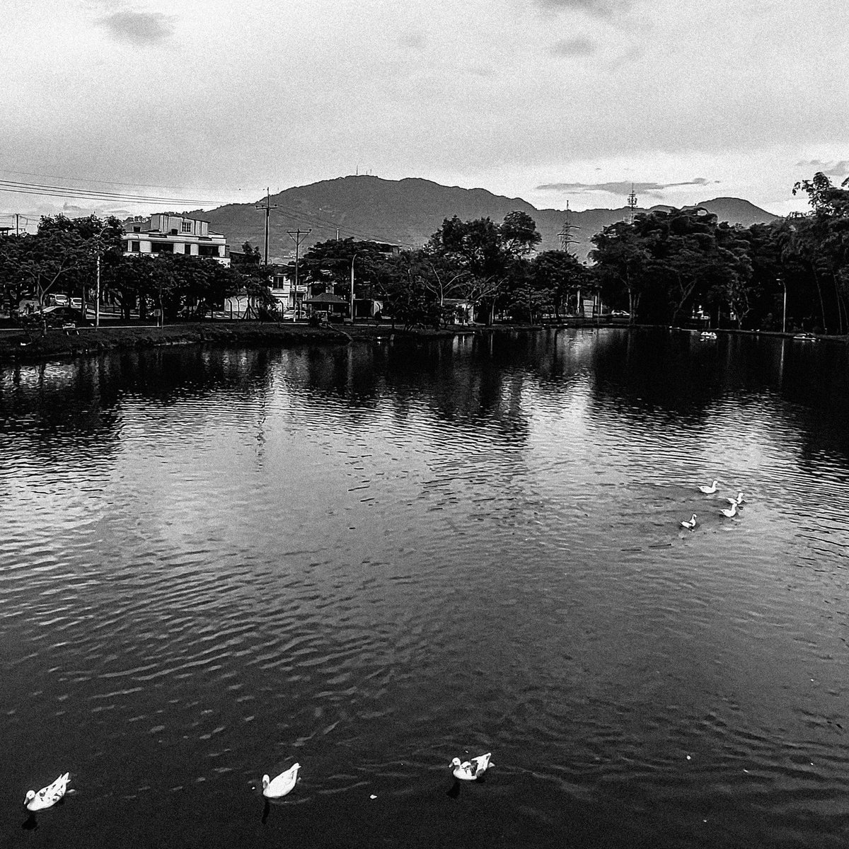 Yosua Za (@yosuaza) on Twitter photo 