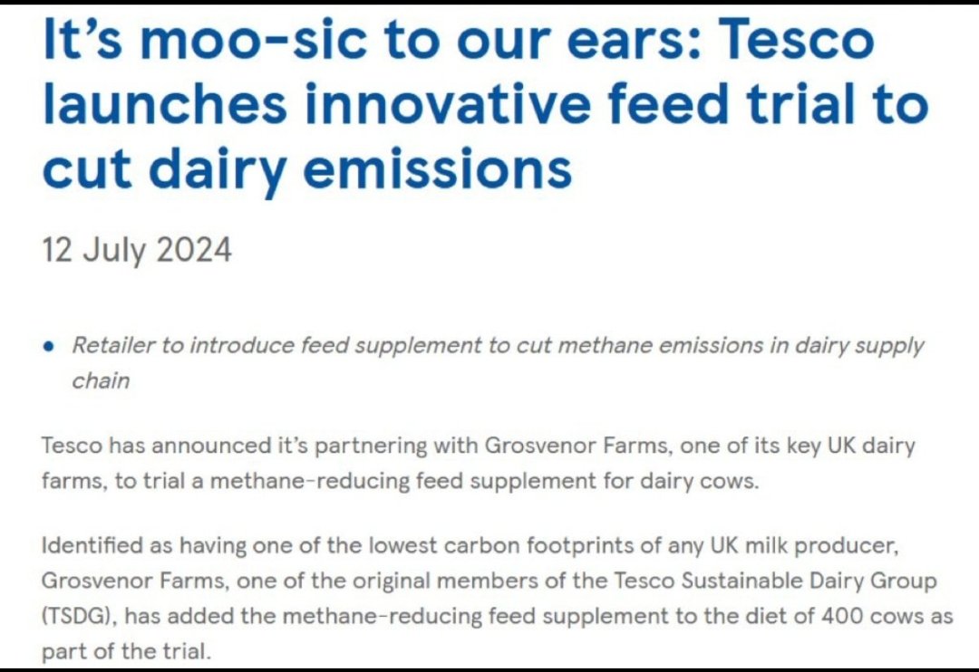 Boycott <a href="/Tesco/">Tesco</a>