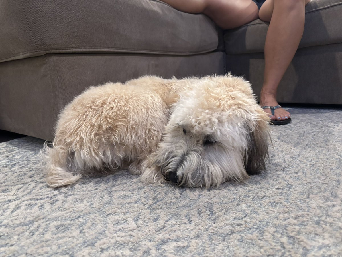 local flowering thing tweet media