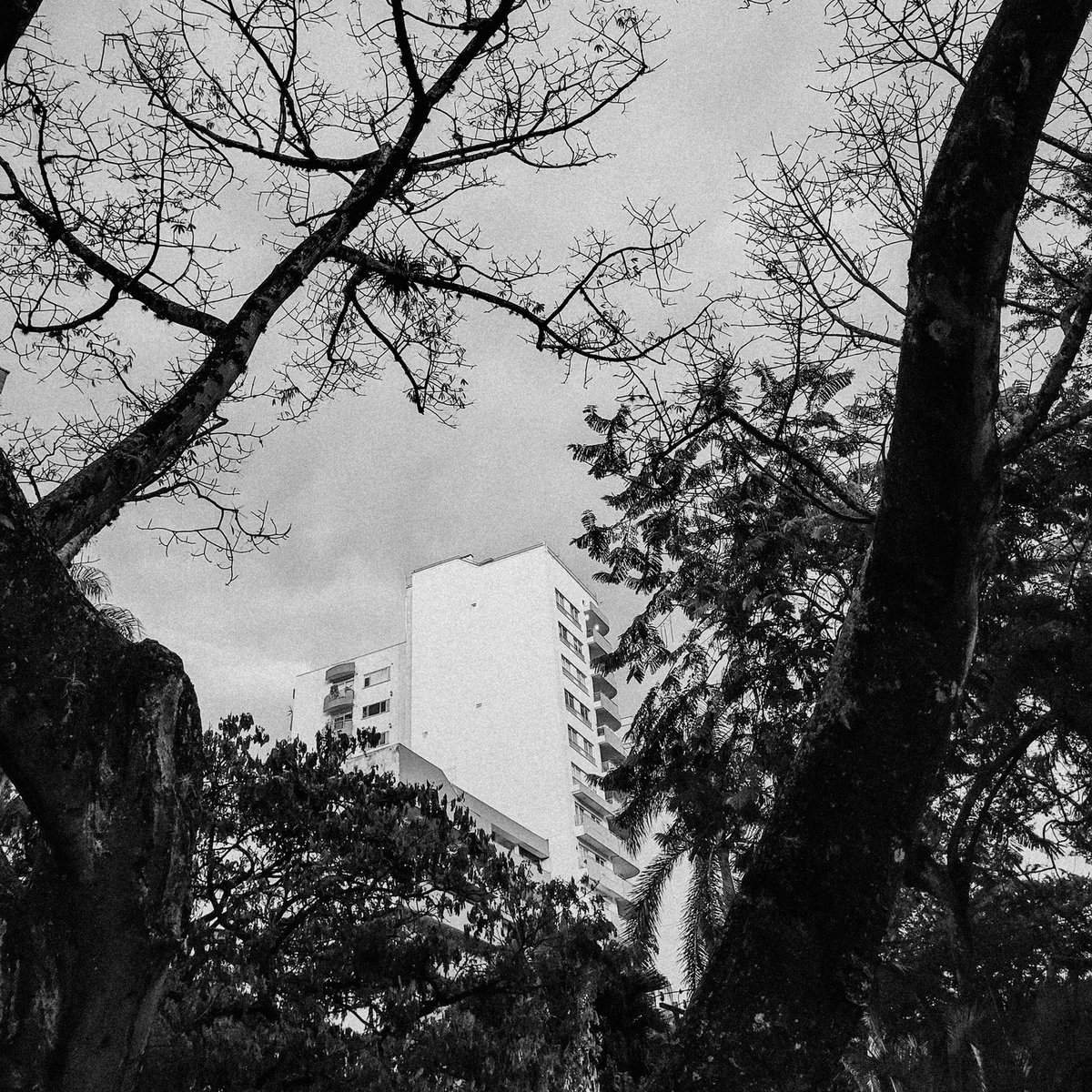 Yosua Za (@yosuaza) on Twitter photo 