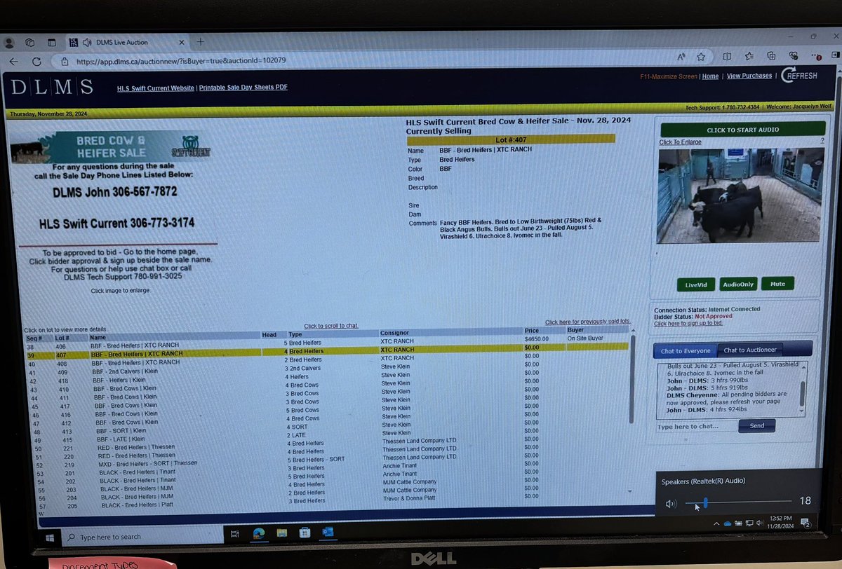 Not sure what my workplace policy is on watching online auctions but it’s my lunch break, great looking heifers <a href="/JocWasko/">Jocelyn Wasko</a>!