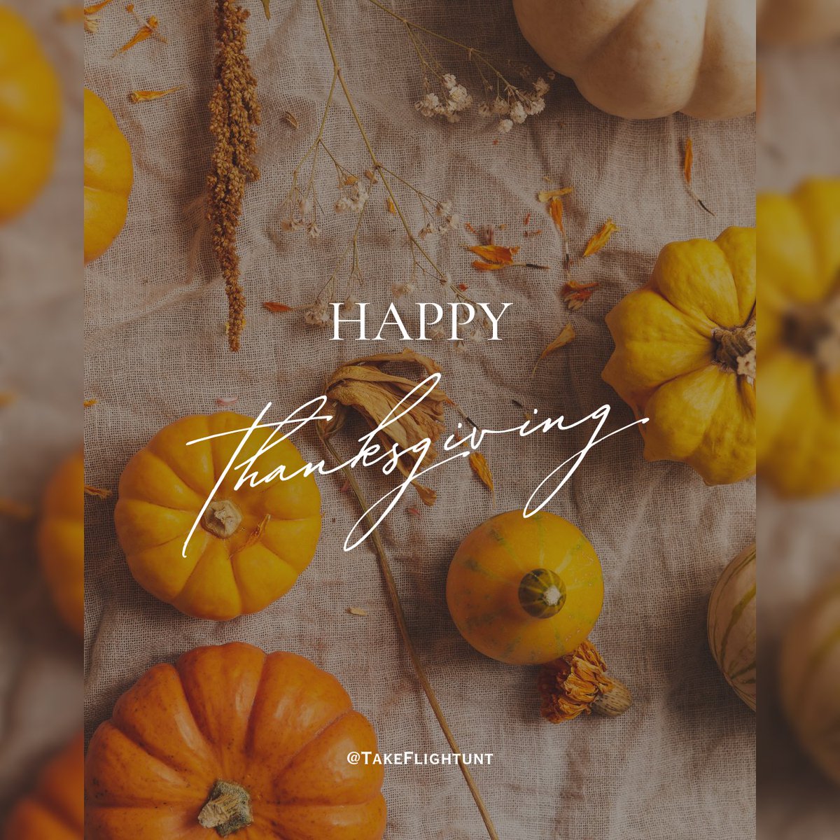 Take Flight UNT tweet media