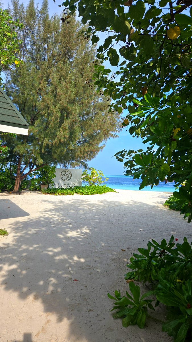 Coach Stolley tweet media