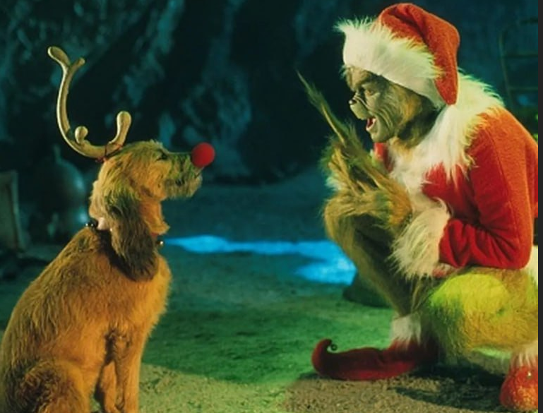 Grinch Dog ($MAX) tweet media