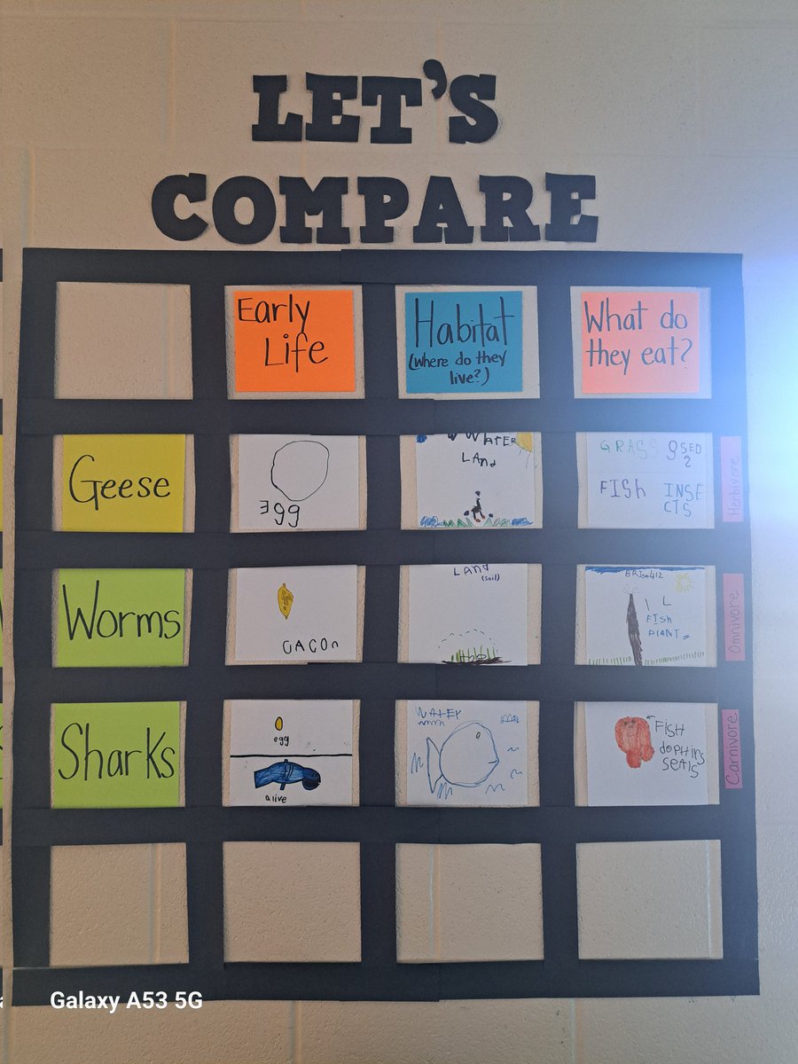 Check out our new addition to our wall. We wanted to showcase the inquiries we have done so far but also wanted Ss to dive into similarities and differences. I wonder what they want to learn about next? <a href="/PeelSchools/">Peel District School Board</a> <a href="/MandelaPS/">Nelson Mandela PS</a> #inquiry #kindergarten #Science