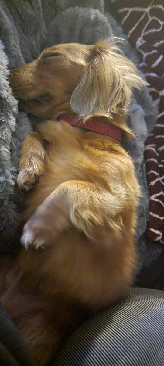 Austin Yost tweet media