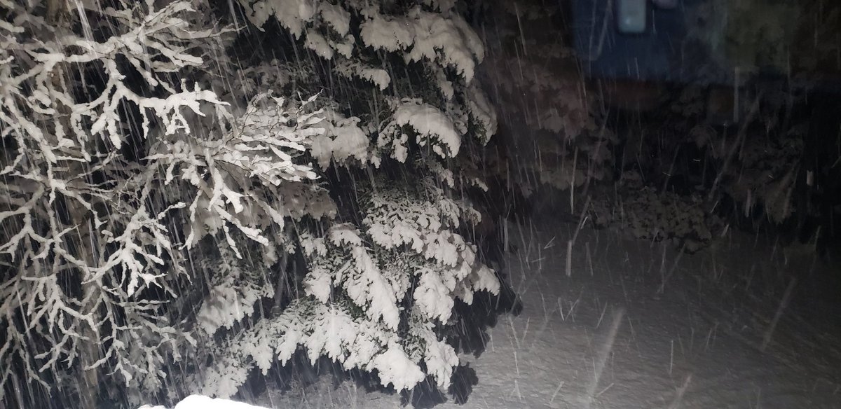 Lisa Sicard 👩💻 tweet media