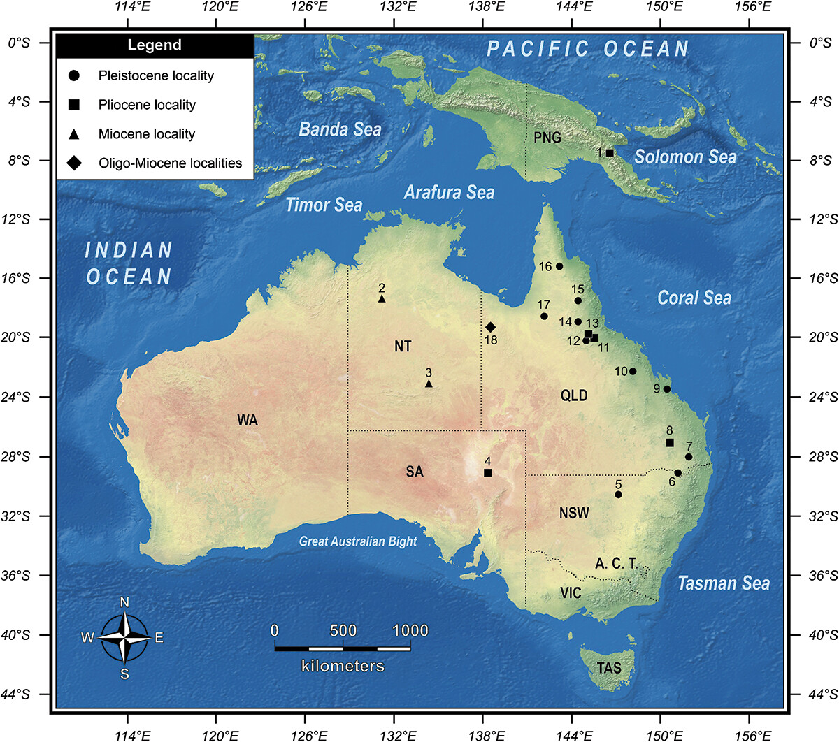 New paper alert, just in time for #FossilFriday! A reevaluation of the #crocodylian fossils from the
#Pliocene Otibanda Formation in Papua New Guinea. You can read the paper here:
tandfonline.com/doi/full/10.10…