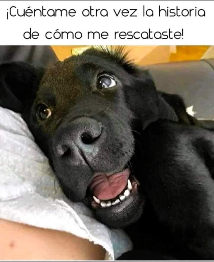 JTomCorVi's tweet image. 🐾🐾🤗