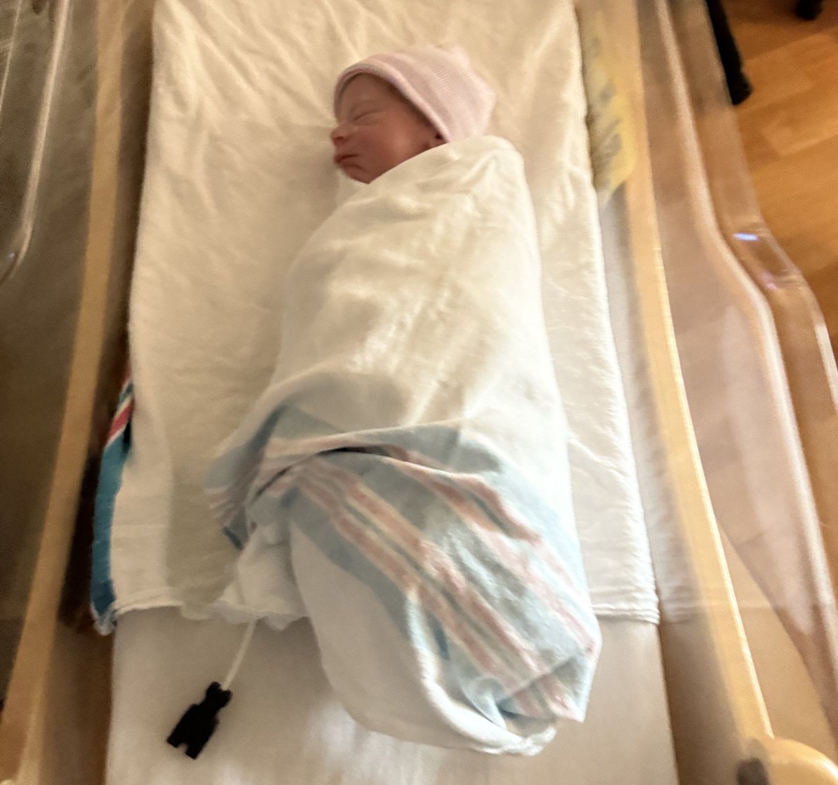 JonnyBoy tweet media