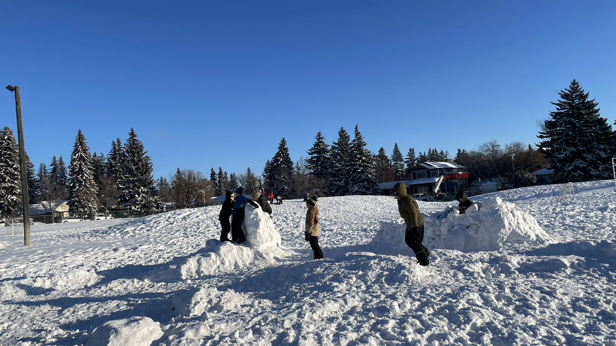 Polar Bears and a snow angel—this is a sure sign of winter! ❄️❄️❄️