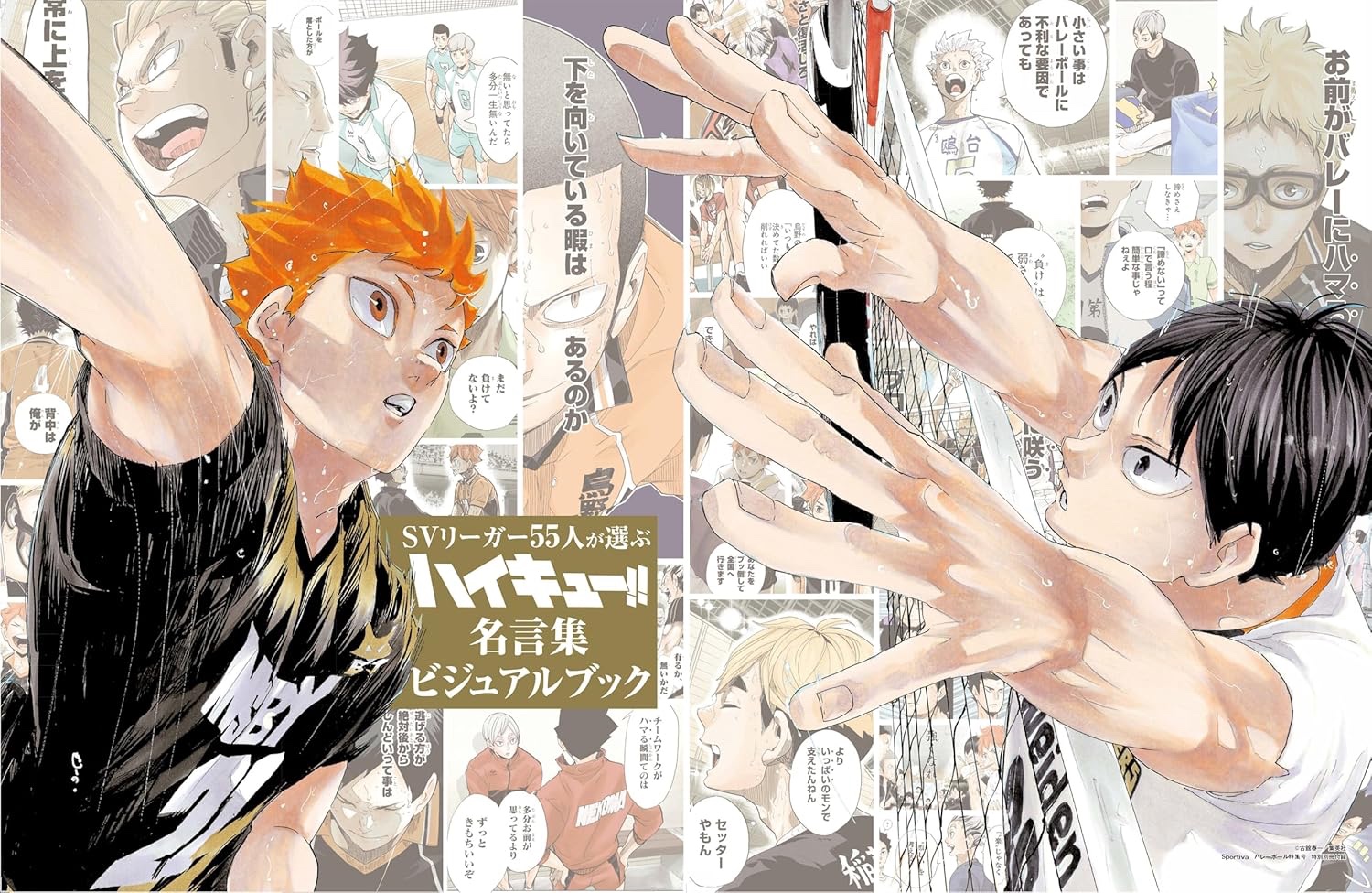 ハイキュー!! 大き 影山飛雄 ポストカード 特別イラスト 和装 ハイキュー!! 大き 影山飛雄 ポストカード 特別イラスト 和装