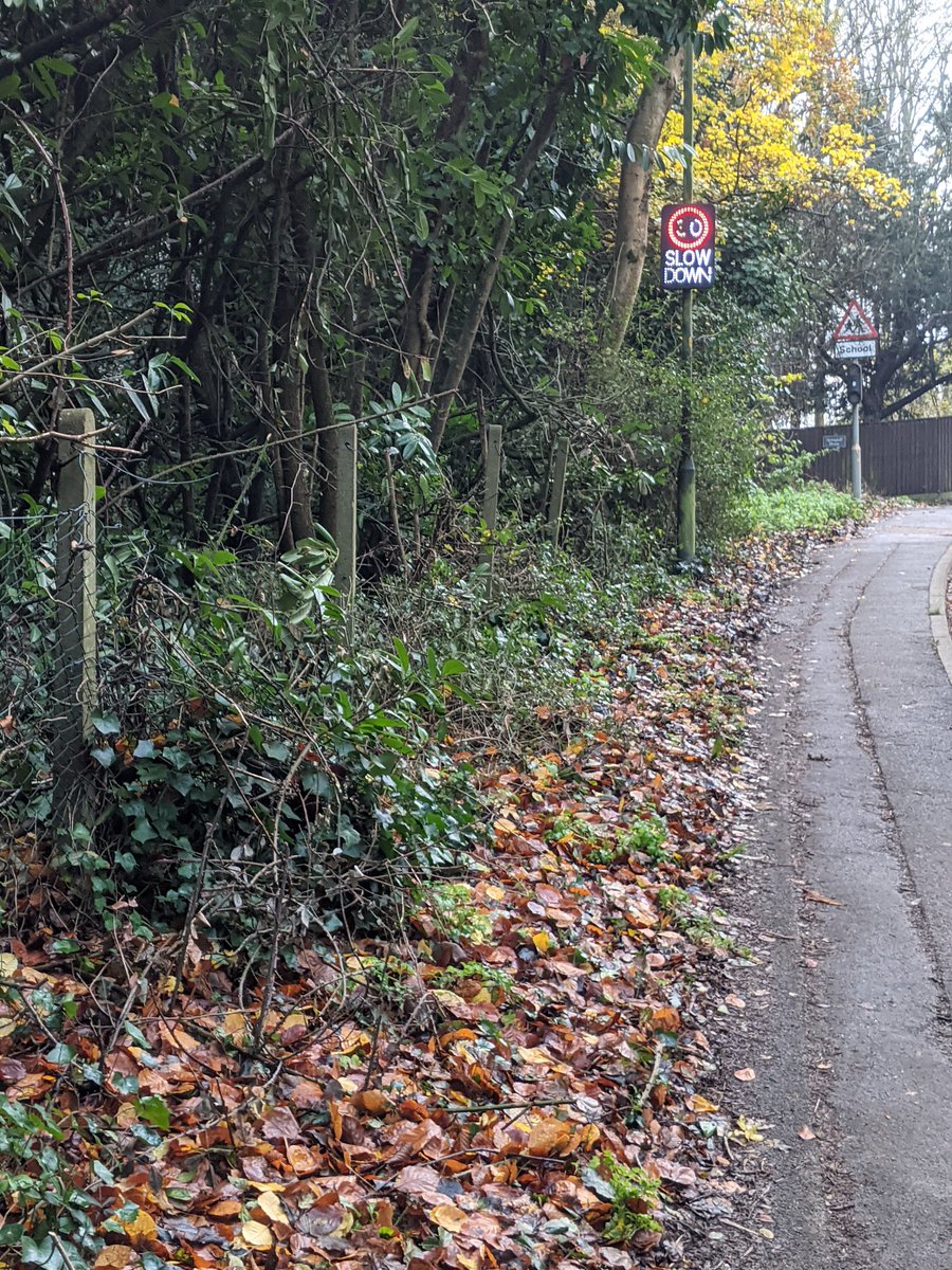 EricTorrington's tweet photo. I was walking & #litter picking so fast today that I set the speed sensor off in #Eastington 🤓 #speedpicking https://t.co/O31fKjoqCy