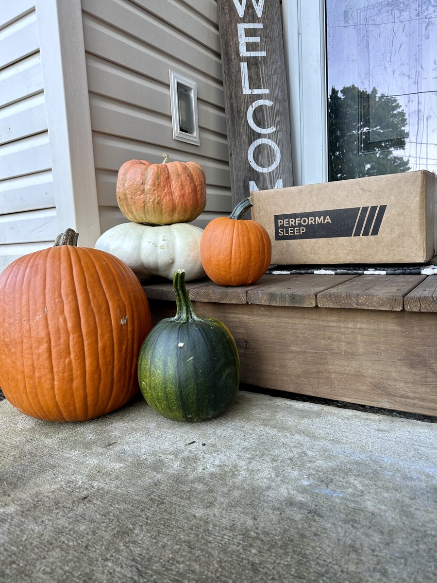 PerformaSleep tweet media