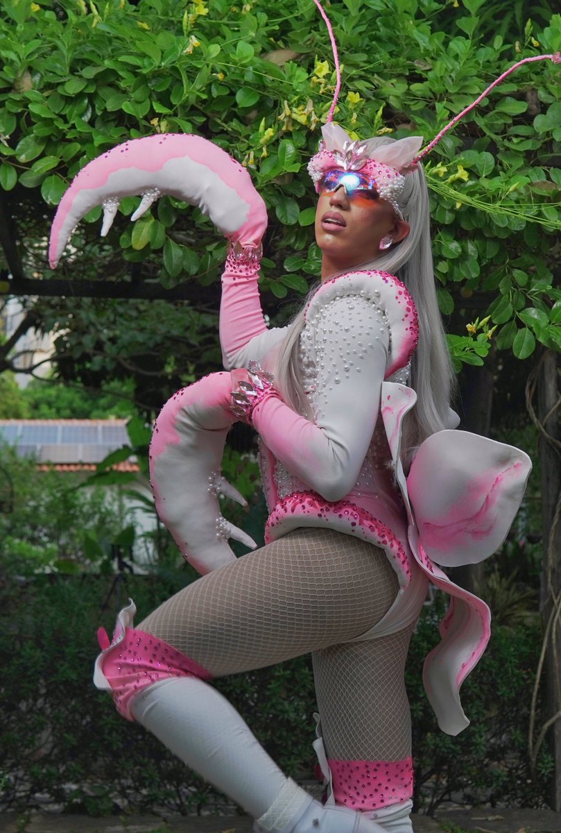 thifyamorgan's tweet photo. Louva-a-deus-orquídea 🌸🩷🤍 

Produção para a promo da 6ª temporada do @ruservathe 

Look: @velourzinho ❤️

Final dia 07/12 e eu conto com a torcida de todos! 🌸🤍🩷
#dragqueen #dragrace #dragracebr #dragbrasil #ruserva https://t.co/aoERdlIhQZ
