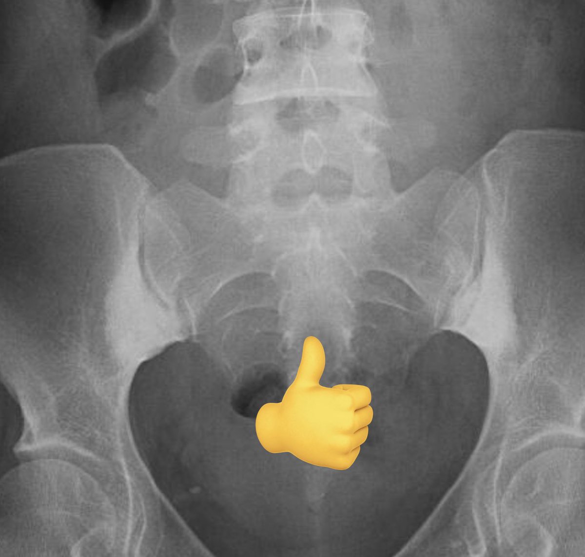 mariajosem tweet media