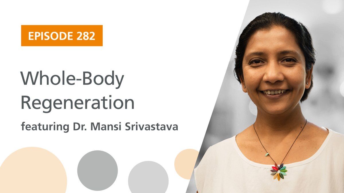 Science in Boston (@scienceinboston) on Twitter photo The latest <a href="/stemcellpodcast/">Stem Cell Podcast</a> episode features Dr. Mansi Srivastava (<a href="/acoel_hofstenia/">Srivastava Lab</a>) from <a href="/HarvardOEB/">Harvard Organismic & Evolutionary Biology</a> and <a href="/MCZHarvard/">Museum of Comparative Zoology</a>!
She talks about her lab's work establishing the three-banded panther worm as a model system.
🎧 Listen now: bit.ly/4g70Sxm The latest <a href="/stemcellpodcast/">Stem Cell Podcast</a> episode features Dr. Mansi Srivastava (<a href="/acoel_hofstenia/">Srivastava Lab</a>) from <a href="/HarvardOEB/">Harvard Organismic & Evolutionary Biology</a> and <a href="/MCZHarvard/">Museum of Comparative Zoology</a>!
She talks about her lab's work establishing the three-banded panther worm as a model system.
🎧 Listen now: bit.ly/4g70Sxm