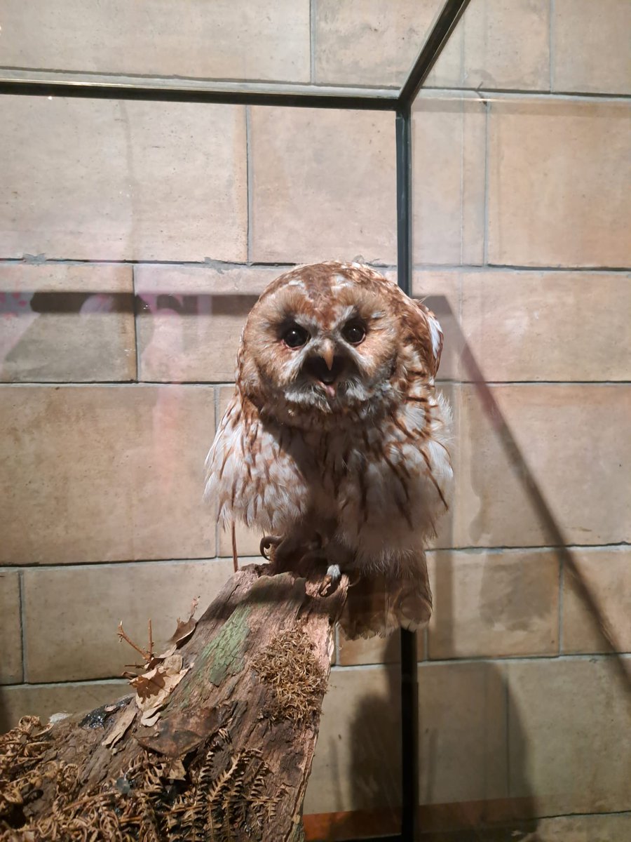 On a more positive note, life is the best it's ever been