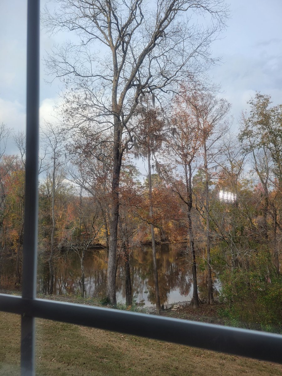 Eric (@ericxanimated) on Twitter photo 