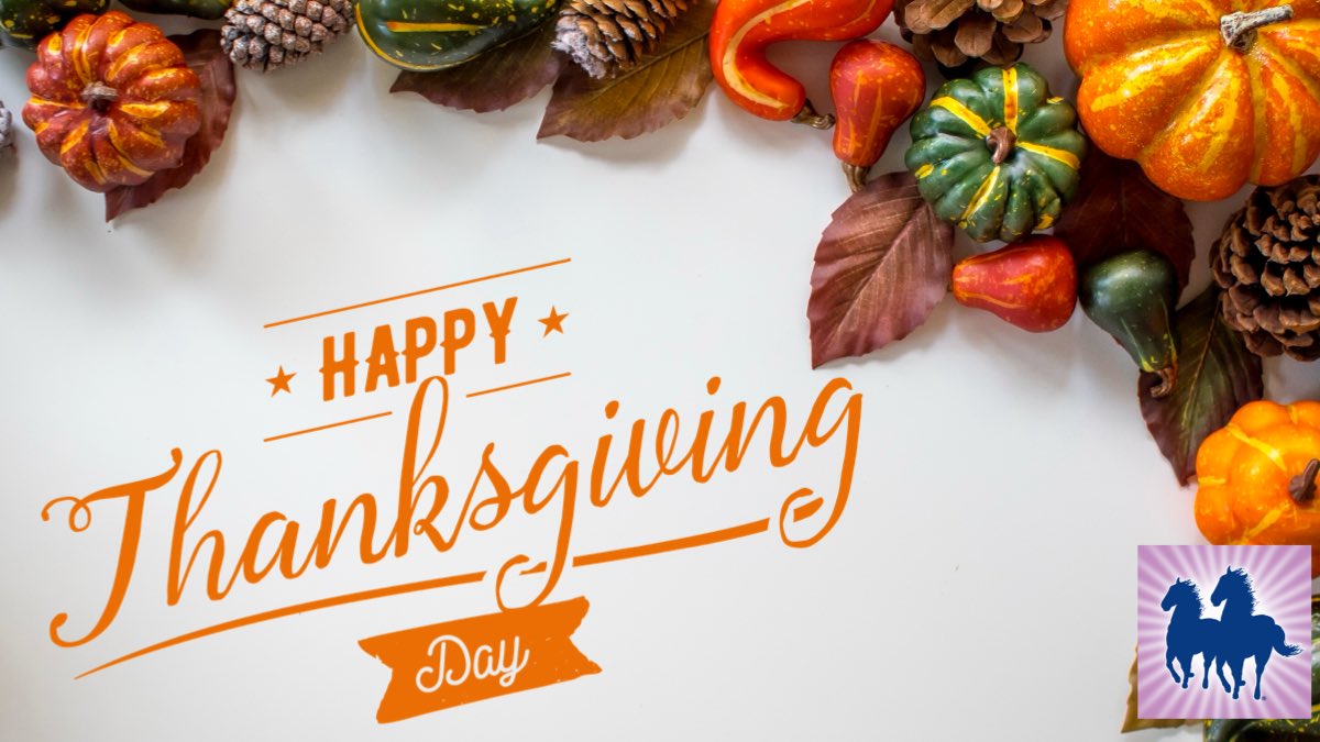 Hope everyone is having a wonderful Thanksgiving!!