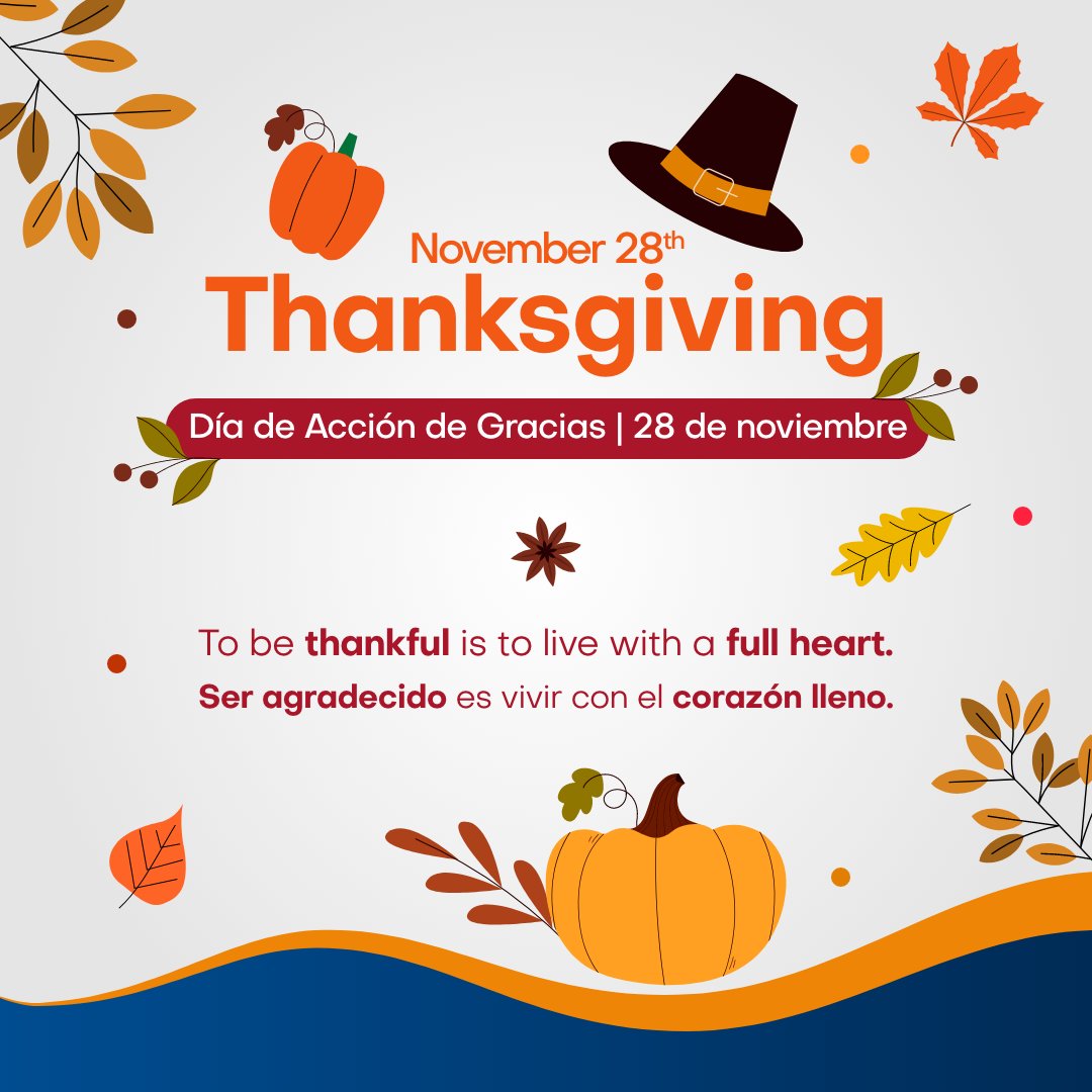 Dolphin Discovery tweet media